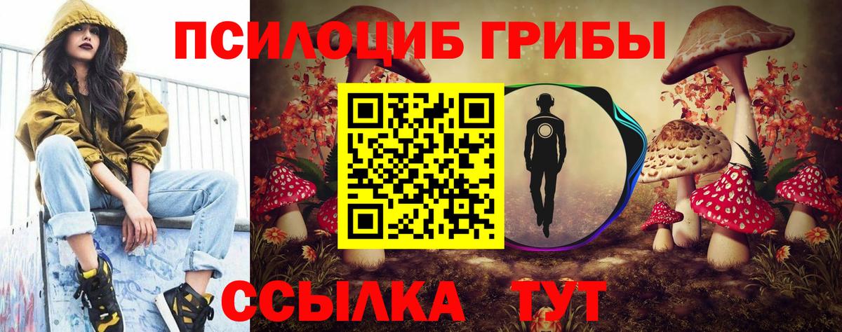 купить наркотик  Вход с VPN  Темрюк  Галлюциногенные грибы Psilocybe 